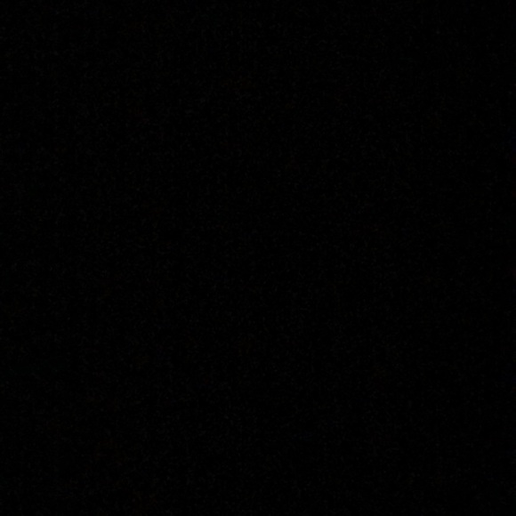 Meet your Posher, Haley - Picture 1 of 1